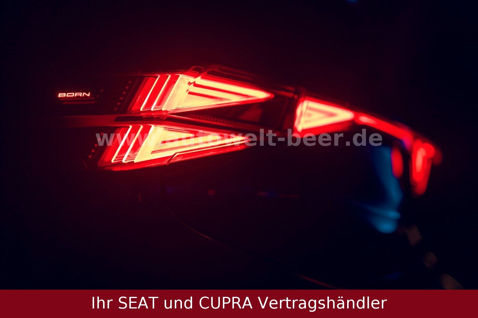 Cupra Born - Bild 8