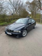 BMW 530d M-Paket Zimtleder Individual - BMW 530 aus 2003: 530d