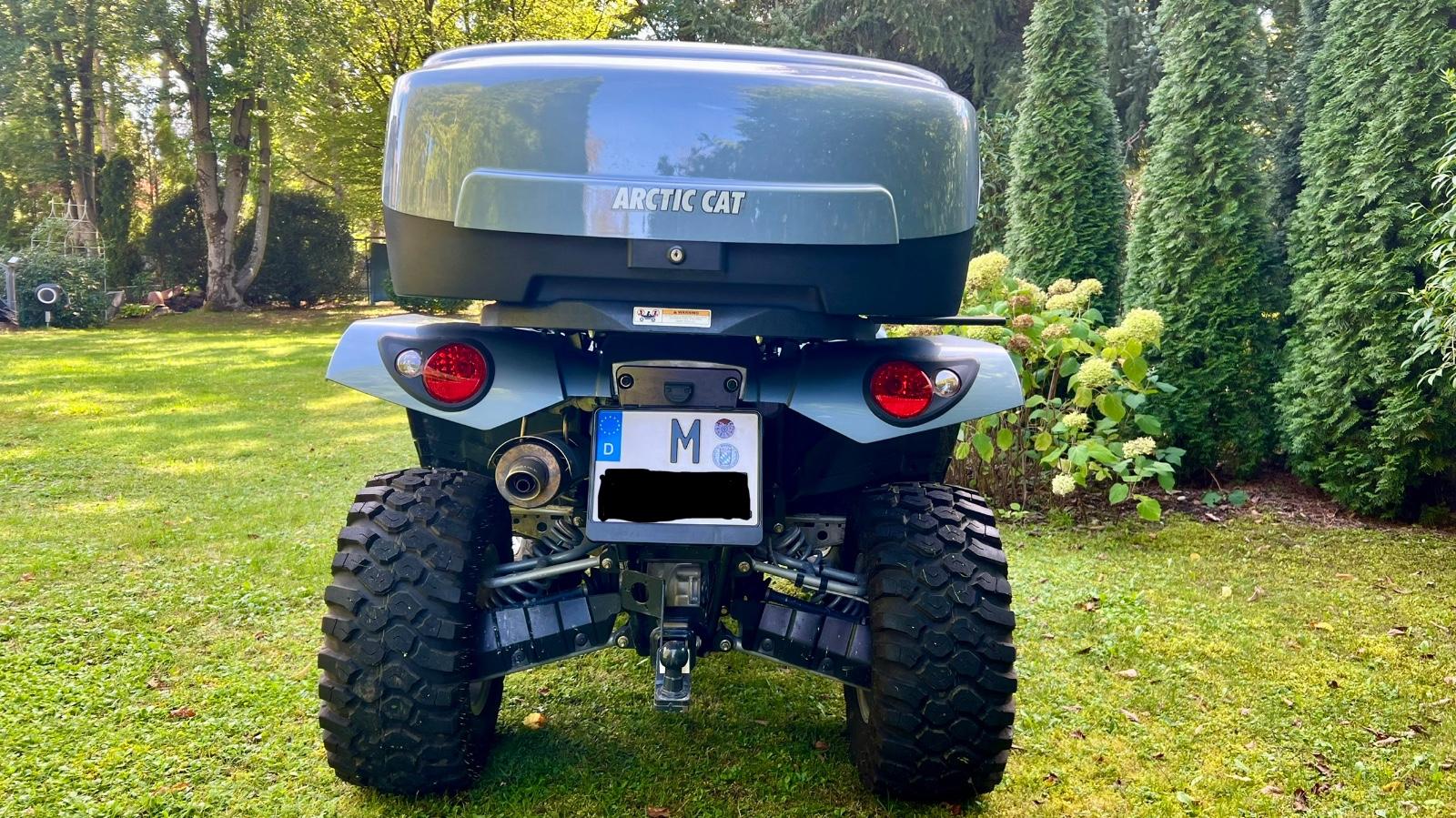 Arctic Cat 700 2010 — photo 5