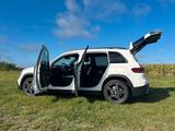 Mercedes-Benz GLB 250 4MATIC AMG Line-Pano uvm. - Mercedes-Benz GLB 250 Gebrauchtwagen