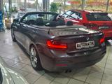 BMW 220 iA Cabrio M Sport Technik/AHK/Garantie/ - gebrauchte BMW Roadster