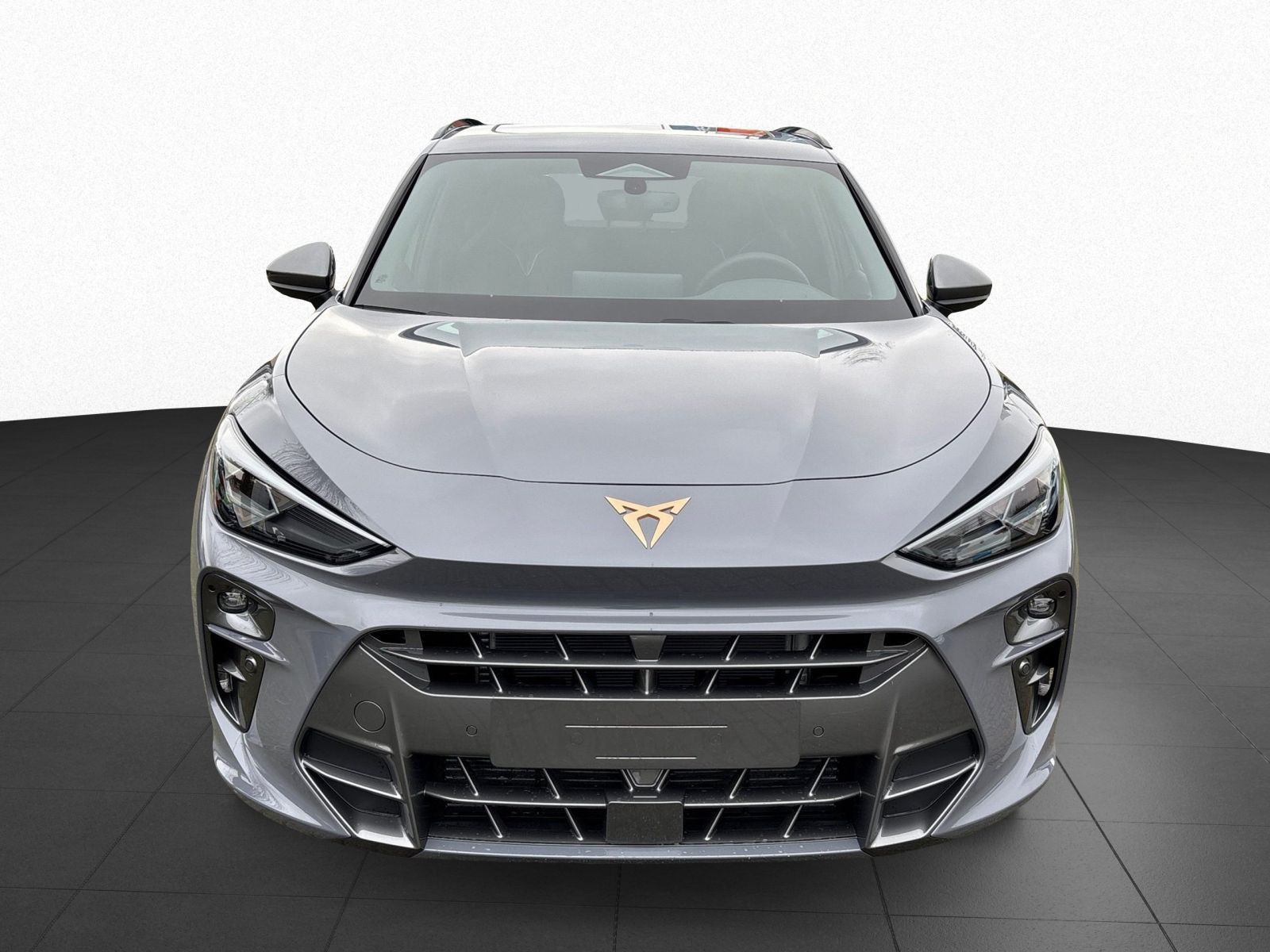 Cupra Terramar - Bild 3