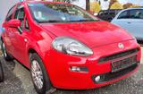 Fiat Punto Lounge 1,4 8V Erstbesitz Scheckheft - Fiat Punto: 1.8