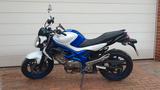 Suzuki Gladius 650 (A2-Tauglich) - Offers