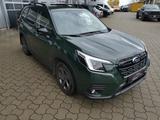 Subaru Forester Edition Black Platinum - gebrauchte Subaru Forester aus dem Jahr 2024