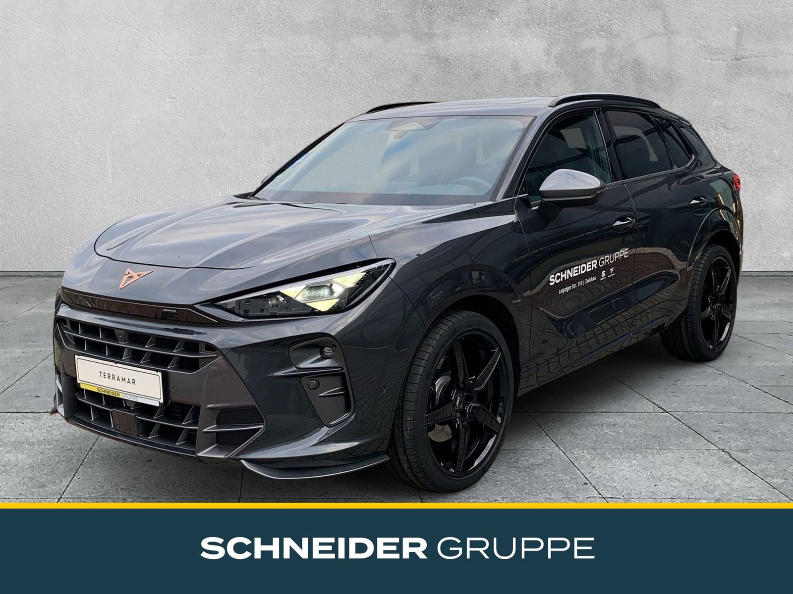 Cupra Terramar VZ 2.0 TSI 4Drive ABT-PAKET AHK+NAVI