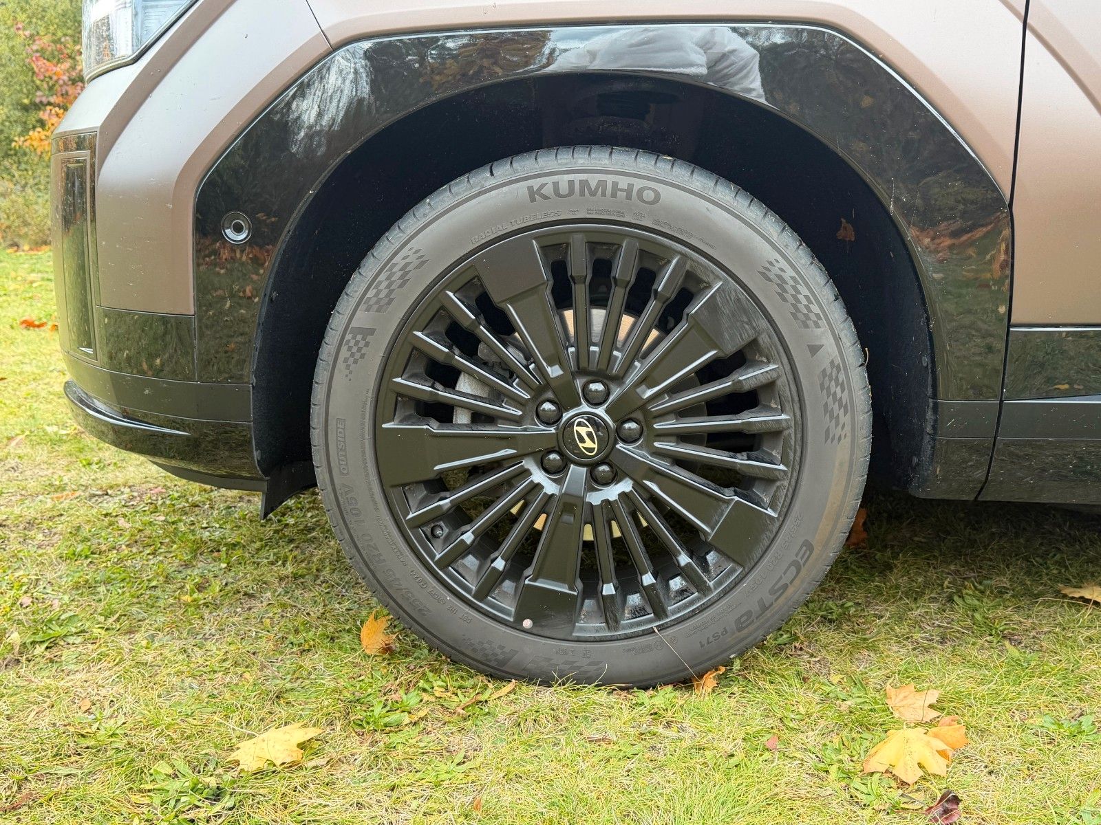 Fahrzeugabbildung Hyundai SANTA FE 1.6T-GDI HEV Blackline *Standhzg*AHK*