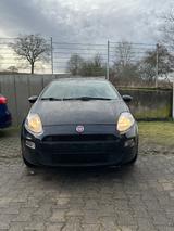 Fiat Punto 1.2 8V STREET STREET - Fiat Punto in Dortmund
