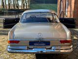 Mercedes-Benz 220SEb Coupe, herausragend schöner Zustand!!! - Mercedes-Benz 220: Coupé, Seb