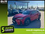 Lexus UX 300h F Sport Design ACC+LED+Navi+SHZ+LM - rote Lexus UX