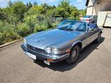 Jaguar XJS 5,3 V12 Cabriolet In Top Zustand  - graue Jaguar XJS