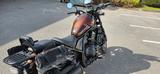 Honda Rebell CMX1100P DCT - HONDA CMX