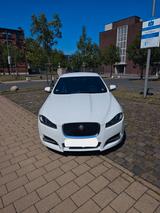 Jaguar R-Sport 2.2 Diesel | Scheckheftgepflegt | VB - gebrauchte Jaguar XF aus dem Jahr 2014