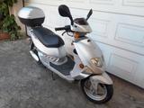 PGO T-Rex 150 - PGO MOTORRAD