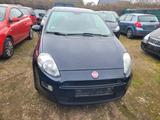 Fiat Punto Pop - Fiat Punto: Blau