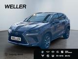 Lexus NX 300h E-FOUR Business Edition *LED*Pano*CAM*SH - Lexus: Nx