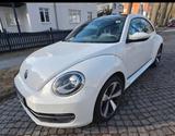 Volkswagen Beetle 1.2 TSI BMT CUP  - Privatanbieter Berlin gebraucht