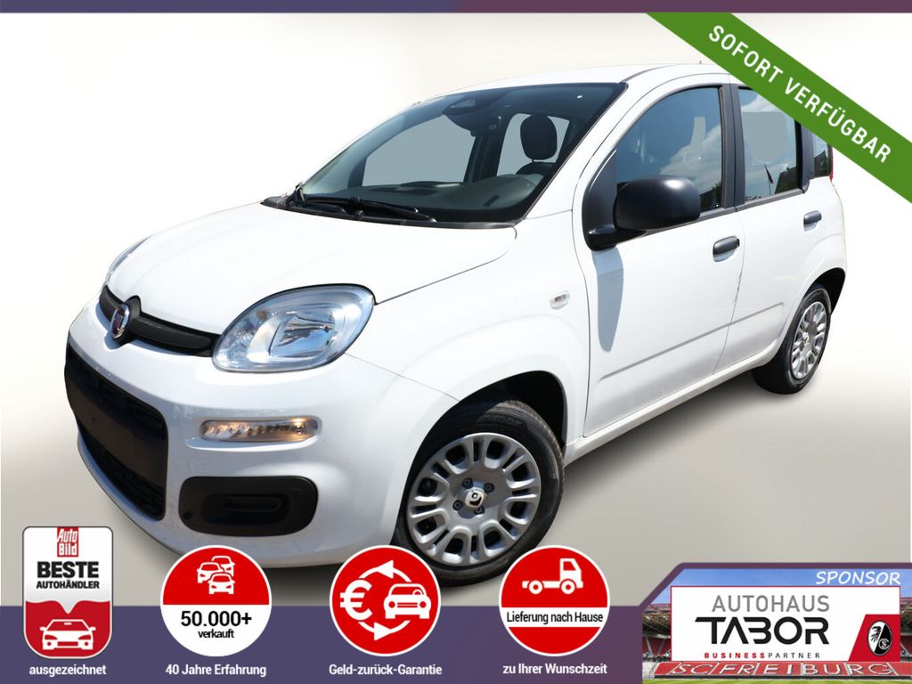 Image of Fiat Panda