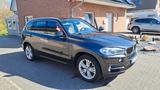 BMW X5 F15 30d Xdrive mit AHK 3,5t Pure Ex... - BMW 530: Geländewagen