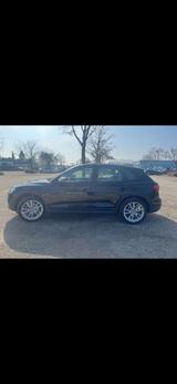 Audi Q5 40 TDI quattro - - Audi Q5 in Mannheim