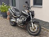 Honda Hornet 600 (PC36) Custom Naked  Nur 19.875 km - HONDA 2002 HORNET 600