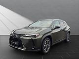 Lexus UX 250h*STYLE* - Lexus aus 2023