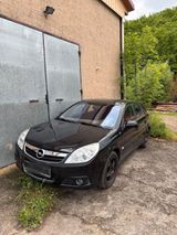 Opel Signum 1.8 Benzin - Opel Signum aus 2007
