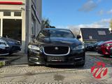 Jaguar XJ Premium Luxury Lang 3.0 S V6 Pano Kamera Navi - Jaguar mit Diesel-Antrieb: 3.0