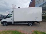 Iveco Daily 35S18 35S18 Kühlkoffer Carrier 0°C MJ 25 - - Angebote