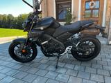 Yamaha MT 125 (Sehr guter Zustand) - YAMAHA MT125