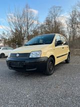 Fiat Panda 1.2 Active* TOP Zustand - Fiat Panda: Gelb