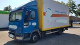 Iveco ML 75 E 14 Koffer Ladebordwand - Iveco 75 14