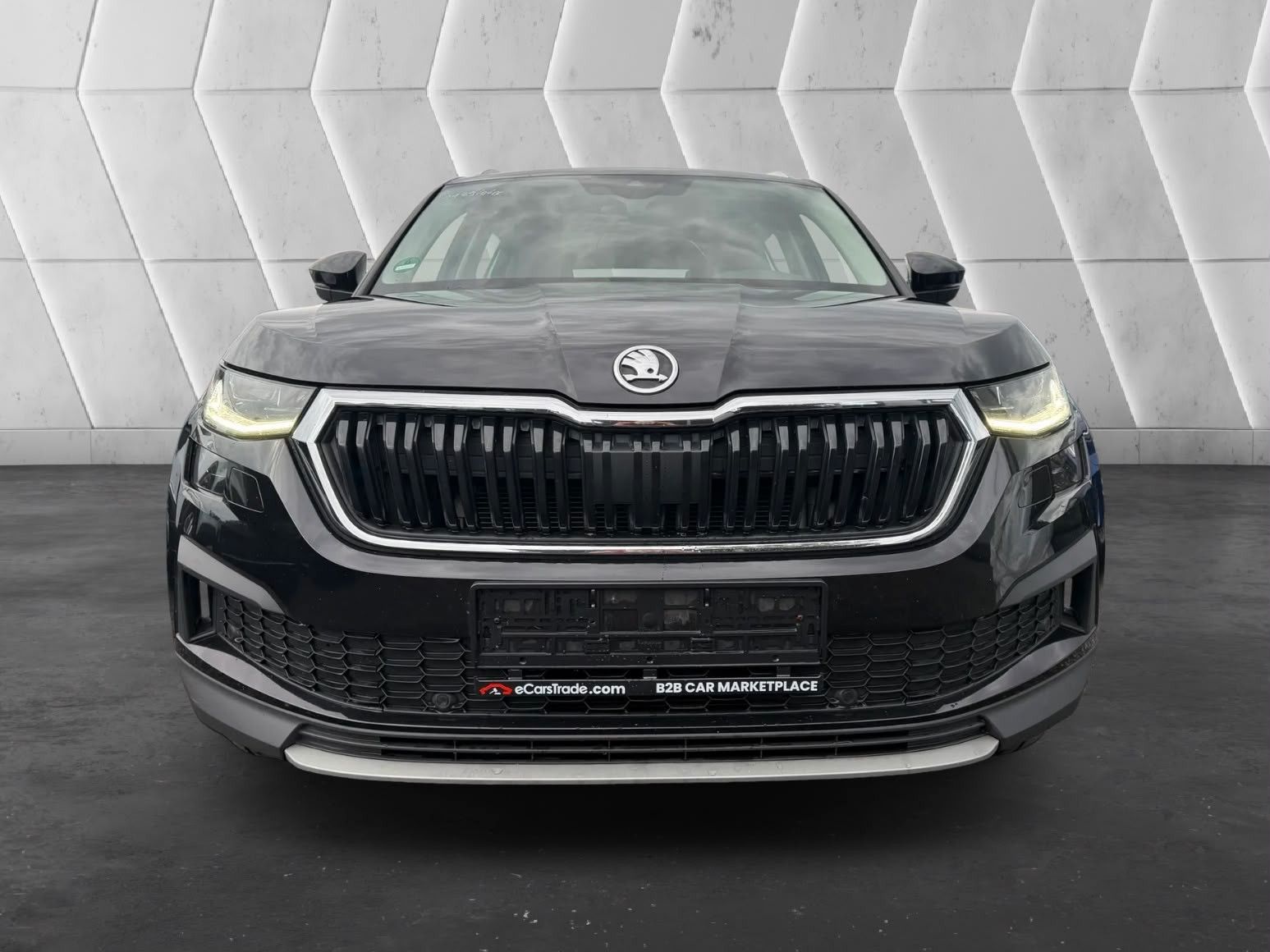 Skoda Kodiaq - 1