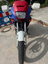 Honda NX 650 Dominator (RD08) - HONDA DOMINATOR