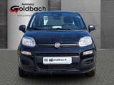 Fiat Panda MY25 1.0*Klima|Tempomat|Bluetooth|PDC* - Fiat Panda Tageszulassungen mit Benzin-Antrieb
