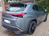 Lexus UX 250h Executive Line Garantie Tuning  - Lexus UX aus 2019
