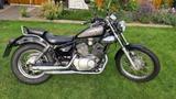 Yamaha Virago 125 - YAMAHA VIRAGO 125