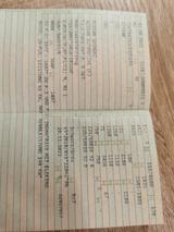 Nissan Qashqai+2 - Nissan Qashqai+2 mit Benzin-Antrieb: Automatik