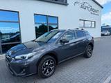 Subaru XV Exclusive - Subaru XV aus 2021