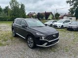 Hyundai Santa Fe Signature 4WD - Hyundai SANTA FE aus 2022