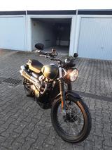 Triumph Street Scrambler 900 *Scheckheftgepflegt* - TRIUMPH 900