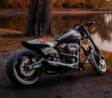 Harley-Davidson FXDR Softail Jekill Thunderbike Breakout Fat Boy - HARLEY-DAVIDSON THUN