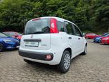Fiat Pandina 1.0 Icon PDC Bluetooth 5'' Radio - weiße Fiat New Panda