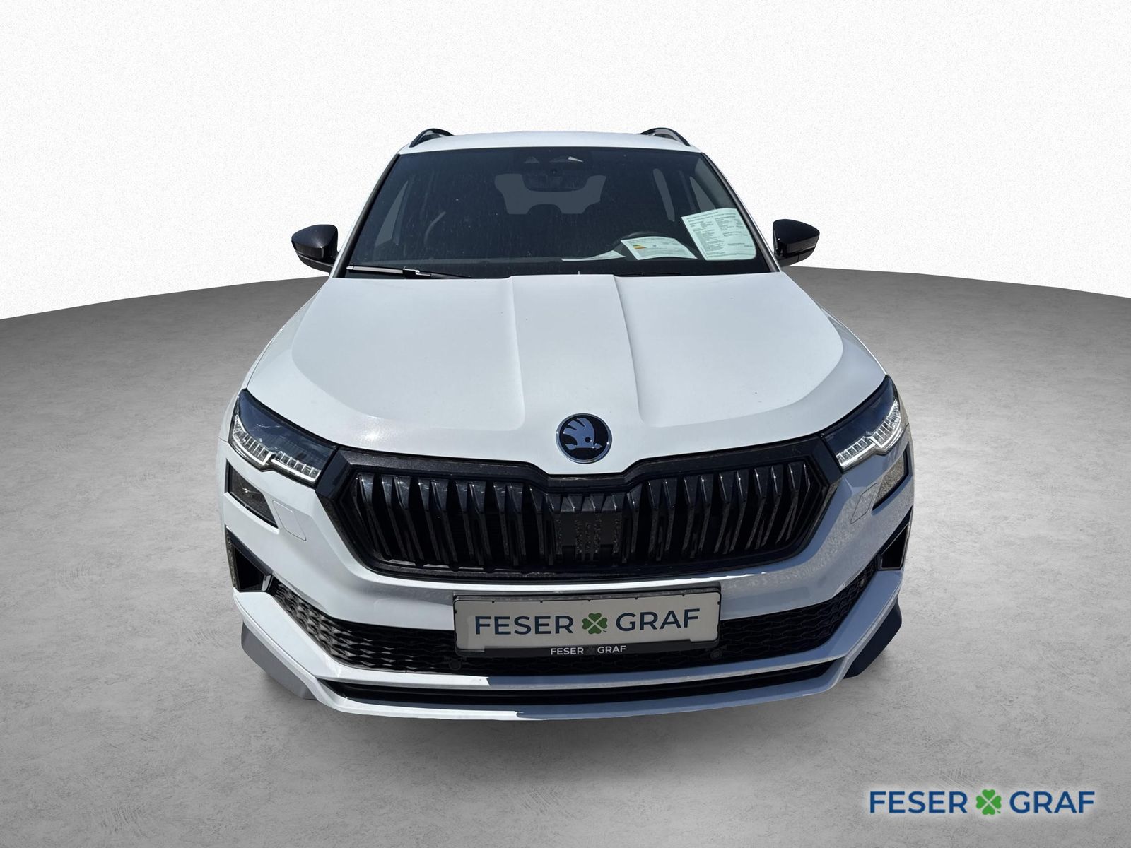 Skoda Karoq - Bild 2