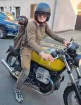 Moto Guzzi V7 Caffe 750 "der Gerät"  - Offers