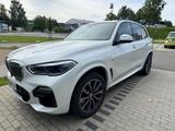 BMW X5 xDrive40i - H\K BPS Luft Stdhzn integral 360