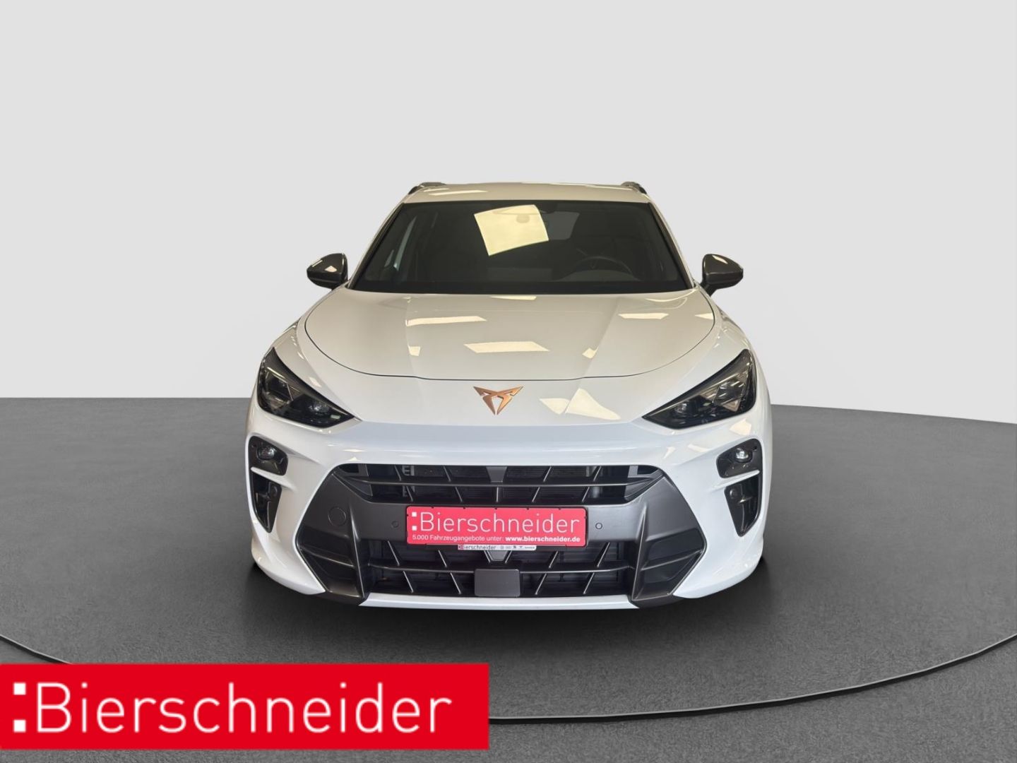 Cupra Terramar 2.0 TSI DSG 4Dr. ab 298,- + 2000,- Anz. imagem 3