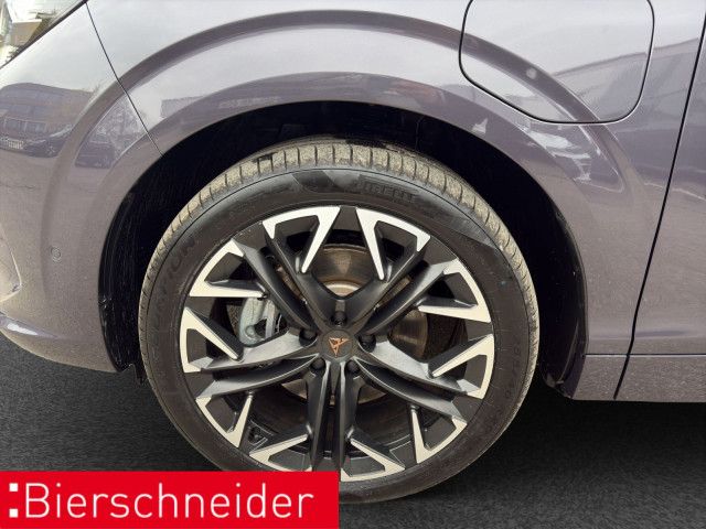 Cupra Terramar - Bild 8