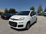 Fiat Panda Easy * Klima* - Fiat Gebrauchtwagen von 2020