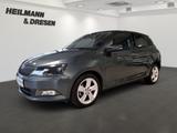 Skoda Fabia Joy 1,2 Automatik/AHK/Sitzheizung/PDC/Klim - Skoda Fabia: 1.2